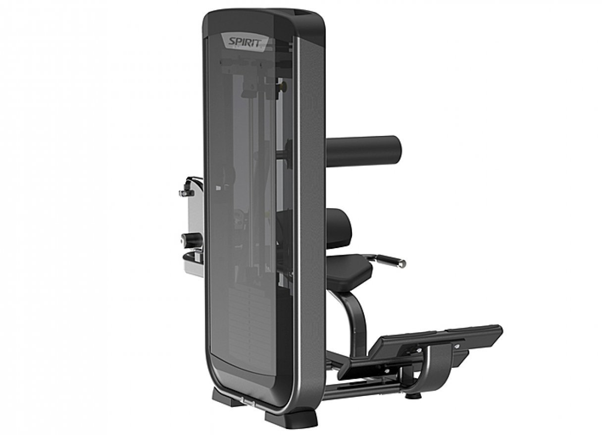 Разгибание спины SP-3503 - вид 2